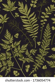 Vertical seamless pattern with leaves and herbs. Vector botanical illustration. Dark background.