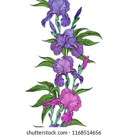 Vertical seamless pattern made of irises on white background, flowers border