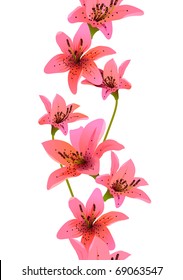 Vertical seamless pattern made of lilies on white background