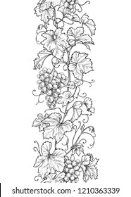 Vertical seamless pattern made with monochrome grape branches with leaves and berries. Hand drawn black and white line border with grapes in row. Vector sketch.