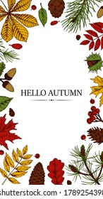 Vertical social network stories template with hand drawn elements. Autumn design for banners, cards, announcements, newsletters in colored sketch style. Vector illustration. Space for text