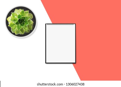 Vertical spiral notepad and succulent flower in pot on white, living coral trendy color background. Vector illustration.