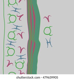 Vertical striped  pattern with zodiac signs, seamless. Hand drawn.