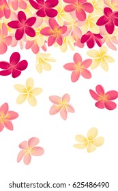 Vertical template with pink and yellow frangipani (plumeria) flowers, falling flowers. Retro vector illustration. Place for your text. Design for invitation, banner, card, poster, flyer