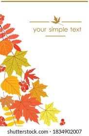 Vertical vector banner with maple, poplar, rowan leaves on white background with place for text. Red, yellow, autumn leaves. Illustrations are suitable for  design, packages, covers, greetin card