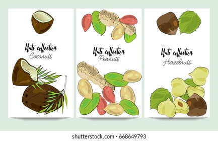 Vertical vector banners of hand drawn nuts collection. Coconuts, peanuts, hazelnuts. An idea for design, invitation.