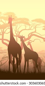 Vertical vector illustration of wild giraffes in African sunset savanna with trees.