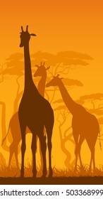 Vertical Vector Illustration Wild Giraffes African Stock Vector ...