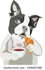 vertical vector portrait of boston terrier drinking cup of coffee and eating croissant with interest looking up