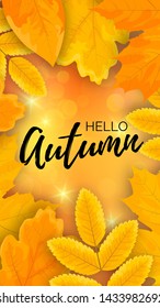 Vertical vector web banner with yellow cartoon leaves and black text Hello Autumn on shiny background with bokeh.