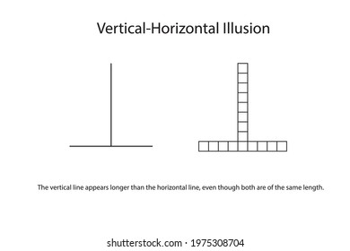 Vertical-Horizontal illusion: The vertical line appears longer than the horizontal line, even though both are of the same length.