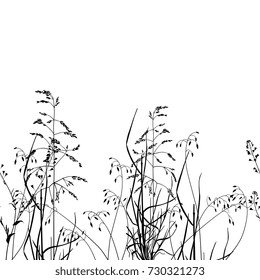 Vertically seamless horizontal pattern with silhouettes of meadow grasses. Perfect bottom border. Delicate floral summer motif.