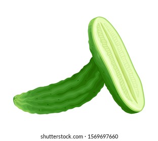 Vertically Sliced Into two Parts Cucumber Vector Element