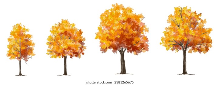 Vertor set of autumn tree,plants side view for landscape elevation and section,eco environment concept design,watercolor ginkgo tree illustration,colorful
 season