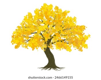 Conjunto de vertor de árbol de otoño, vista lateral de las plantas para la elevación y la sección del paisaje, diseño del concepto del medio ambiente ecológico, ilustración del árbol de ginkgo de la acuarela, colorido
 sazonar