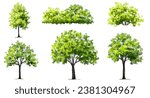 Vertor set of green tree,plants side view for landscape elevation,element for backdrop,eco environment concept design,watercolor greenery scene