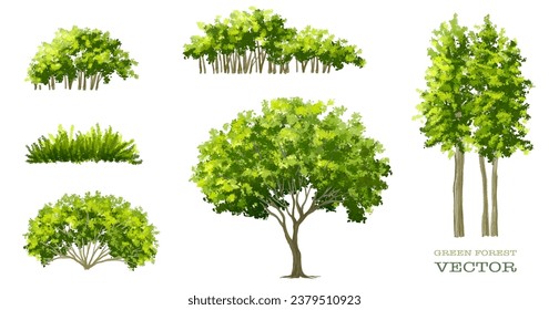 Vertor conjunto de árboles verdes, vista lateral de plantas para la elevación del paisaje, elemento para el fondo, diseño de concepto de medio ambiente ecológico, escena de vegetación acuarela