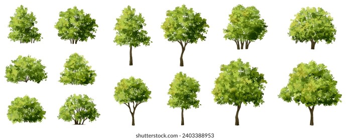 Vertor set of green tree,plants side view for landscape elevations,element for backdrop,eco environment concept design,watercolor greenery scene