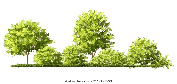 Vertorensatz von grünem Baum, Blick auf Landschaftsaufzüge, Element für Hintergrund, Ökoumweltkonzept, Aquarelllandschaft-Szene