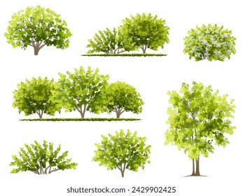 Vertor set of green tree,plants side view for landscape elevations,element for backdrop,eco environment concept design,watercolor greenery scene