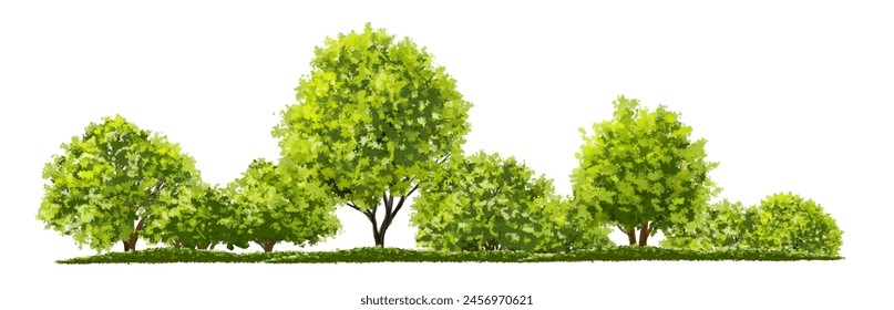 Conjunto de vertor de árbol verde, vista lateral de las plantas para elevaciones del paisaje, elemento para el telón de fondo, diseño de concepto de eco ambiente, escena de la vegetación de la acuarela
