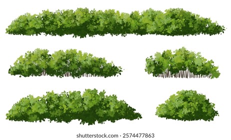 Vertor set of green tree,plants side view for landscape elevations,element for backdrop,eco environment concept design,watercolor greenery scene,shrub