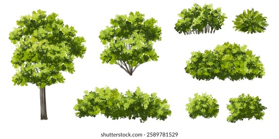 Vertor set of green tree,plants side view for landscape elevations,element for backdrop,eco environment concept design,watercolor greenery scene,shrub