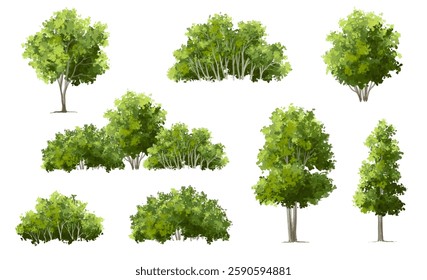 Vertor set of green tree,plants side view for landscape elevations,element for backdrop,eco environment concept design,watercolor greenery scene,shrub