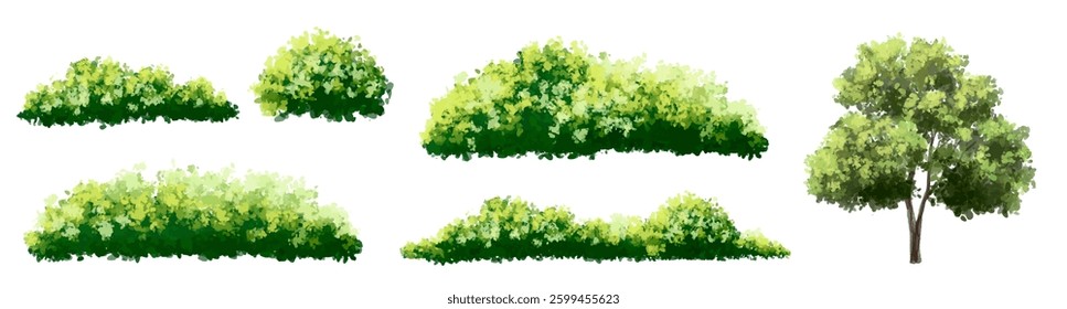 Vertor set of green tree,plants side view for landscape elevations,element for backdrop,eco environment concept design,watercolor greenery scene,shrub