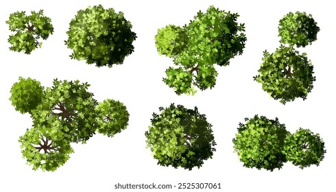 Vertor set of green tree,plants top view for landscape plan,schematic layout,eco environment concept design,watercolor greenery illustration