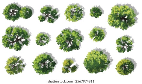 Vertor set of green tree,plants top view for landscape plan,schematic layout,eco environment concept design,watercolor greenery illustration
