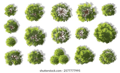 Vertor set of green tree,plants top view for landscape plan,schematic layout,eco environment concept design,watercolor greenery illustration