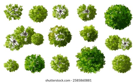 Vertor set of green tree,plants top view for landscape plan,schematic layout,eco environment concept design,watercolor greenery illustration