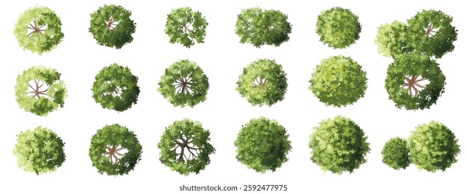 Vertor set of green tree,plants top view for landscape plan,schematic layout,eco environment concept design,watercolor greenery illustration