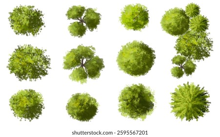 Vertor set of green tree,plants top view for landscape plan,schematic layout,eco environment concept design,watercolor greenery illustration