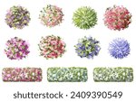 Vertor set of spring blossom tree,bloomimg plants top view for landscape plan,schematic layout,eco environment concept design,watercolor sakura illustration