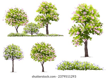 Vertor set of spring blossom tree,bloomimg plants side view for landscape elevation and section,eco environment concept design,watercolor flower illustration,colorful season