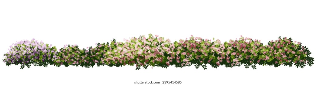 Vertor conjunto de flor primaveral, vista lateral de las plantas floreícolas para la elevación y sección del paisaje, diseño de concepto ambiental ecológico, ilustración acuarela, temporada colorida