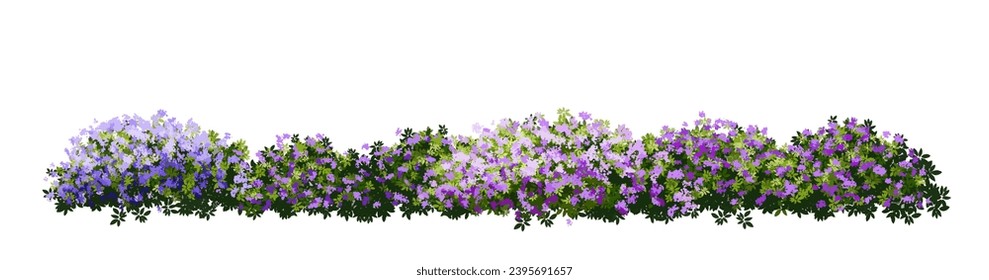 Vertor set of spring blossom tree,bloomimg plants side view for landscape elevation and section,eco environment concept design,watercolor illustration,colorful season
