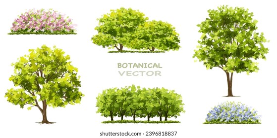 Vertor conjunto de flor primaveral, vista lateral de las plantas floreícolas para la elevación y sección del paisaje, diseño de concepto ambiental ecológico, ilustración acuarela, temporada colorida