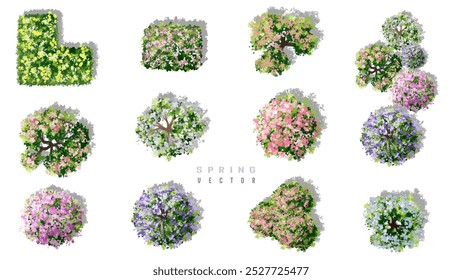 Vertor conjunto de árbol de flor de primavera, plantas en flor vista superior para el Plan del paisaje, diseño esquemático, diseño de concepto de medio ambiente ecológico, ilustración de sakura de acuarela