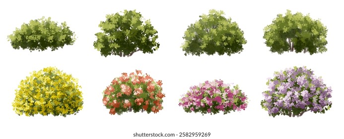 Vertor set of spring blossom tree,blooming plants side view  for landscape elevation and section,eco environment concept design,watercolor shrub illustration,colorful season