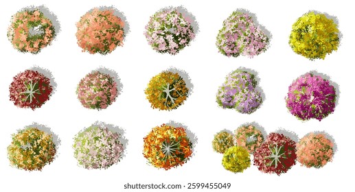 Vertor set of spring blossom tree,blooming plants top view for landscape plan,schematic layout,eco environment concept design,watercolor sakura illustration