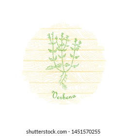 Vervain Herb Placed on the Round Badge with Curved Contour and Wooden Texture. 
Verbena Plant Name Bent by the Badge Shape. Label for Traditional 
Herbal Medicine, Cosmetology, Food Industry.