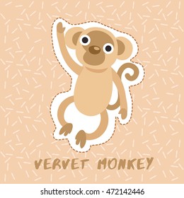 Vervet Monkey : Cute Animal Set :  Vector Illustration