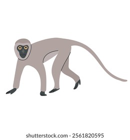 Vervet monkey icon clipart avatar logotype concepte isolated illustration