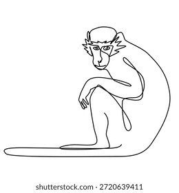 Um desenho de uma linha de macaco vervet. Ilustração em linha única de macaco vervet. Macaco de vervet arte de linha minimalista.