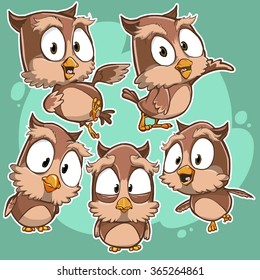 Very adorable set of cartoon owl bird character with different poses and emotions isolated on background