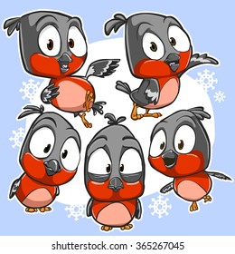 Very adorable set of cartoon robin bird character with different poses and emotions isolated on background