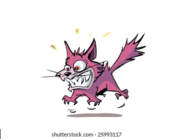 very angry cat jumping up